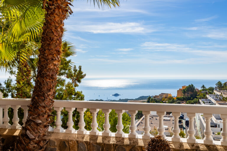 Vista al mar desde un balcón con barandilla blanca, palmera en primer plano, cielo azul y casas al fondo.